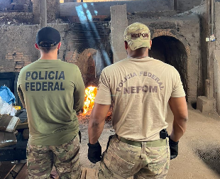 Polícia Federal incinera quase uma tonelada de drogas em Guajará-Mirim