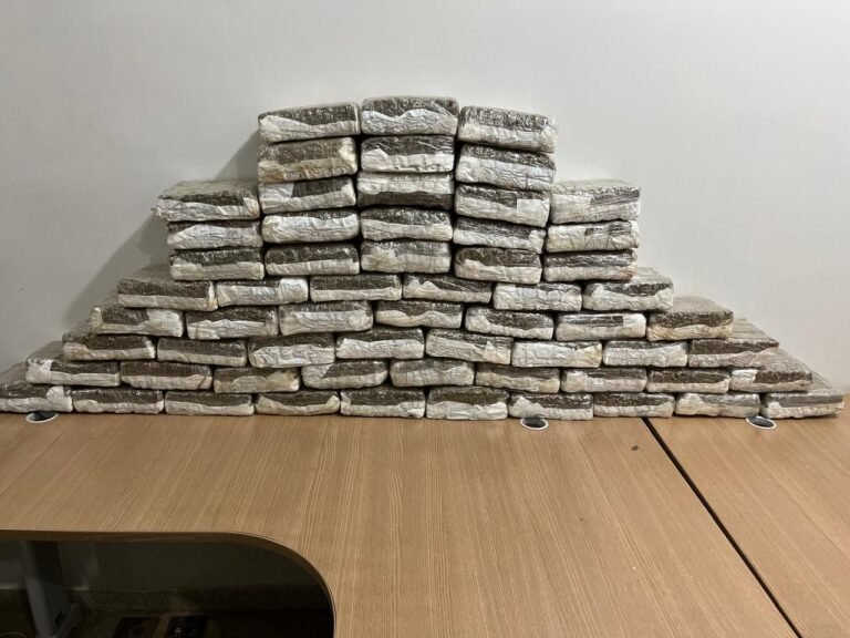 Polícia Militar de Rondônia prende dois criminosos e apreende 65 quilos de maconha