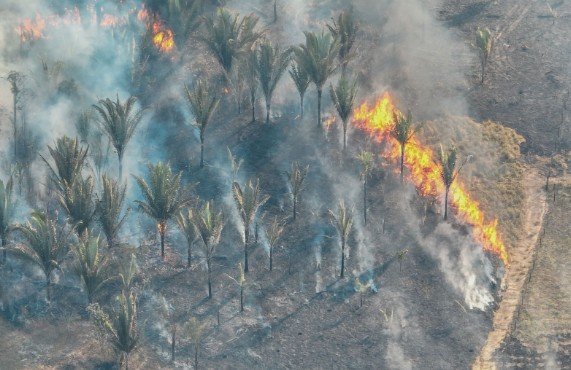 Fenômeno natural El Niño aumenta risco de queimadas durante a estiagem em Porto Velho