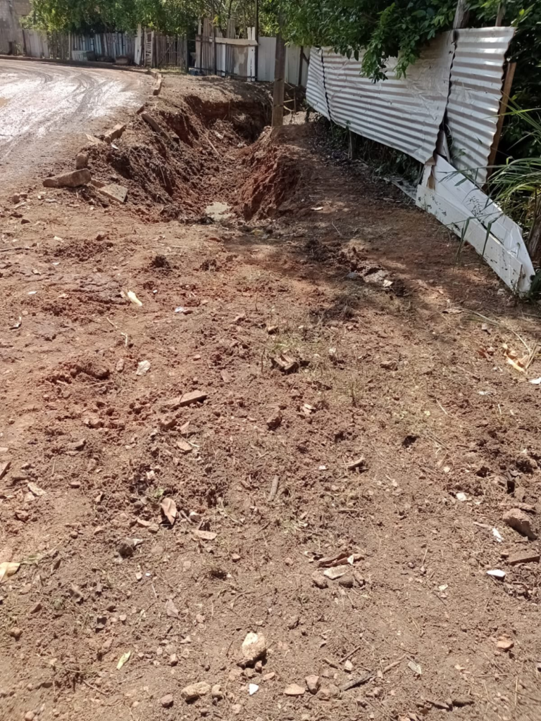 Após solicitação do vereador Edimilson Dourado, Prefeitura intensifica limpeza no bairro Nova Floresta