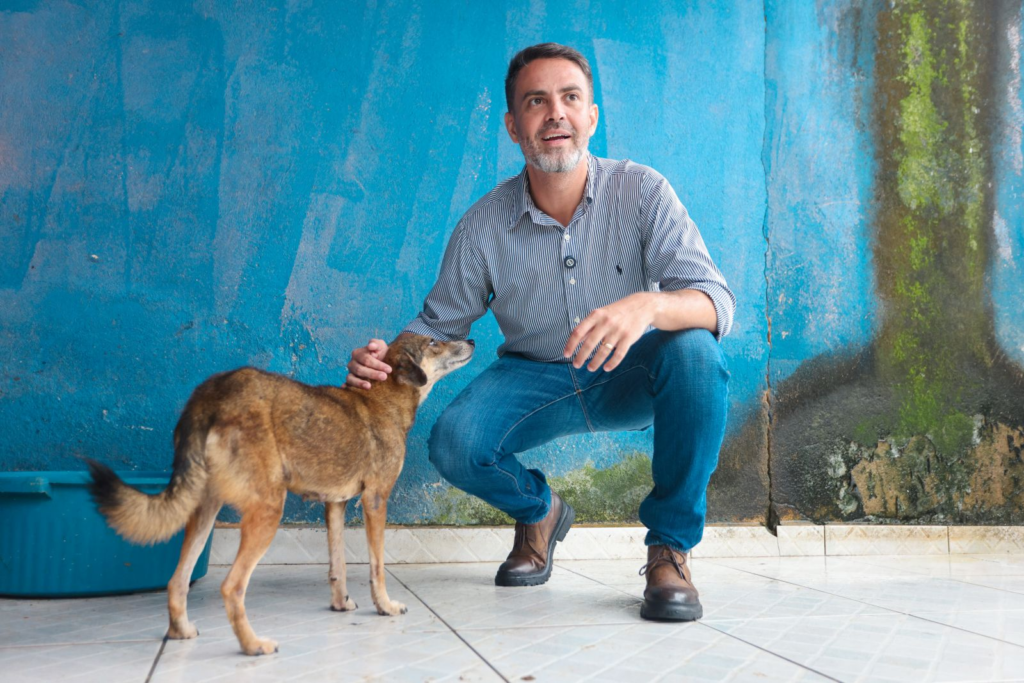 Prefeitura amplia proteção animal com mais de 2 mil ocorrências atendidas no primeiro semestre 2 Prefeitura amplia proteção animal com mais de 2 mil ocorrências atendidas no primeiro semestre