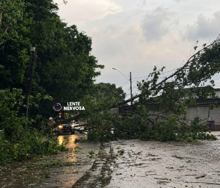 Chuva forte derruba árvore e atinge rede elétrica próximo ao Porto Velho Shopping – VÍDEO