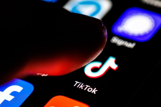 TikTok coletou dados de 20% das crianças brasileiras, diz ANPD