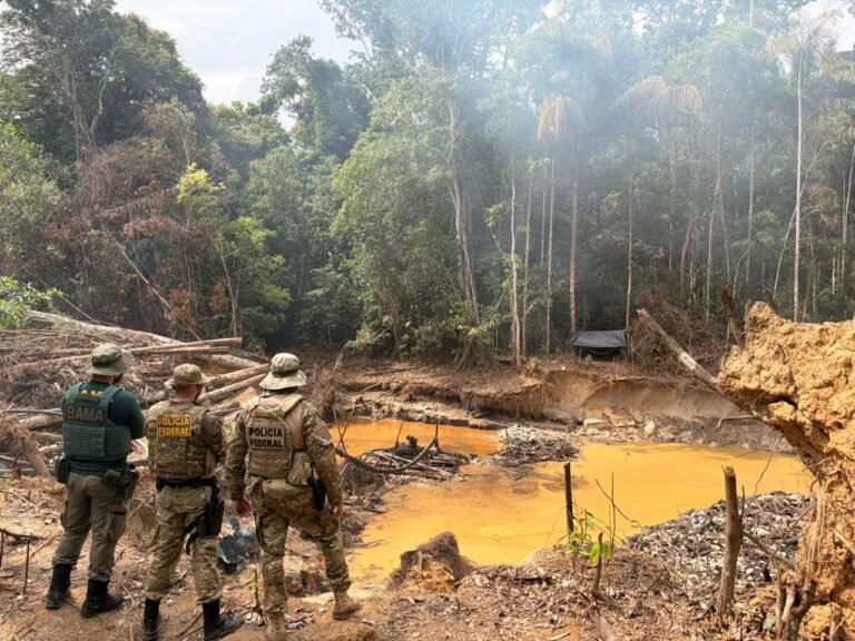 PF e Ibama combatem extração ilegal de minério em terra indígena