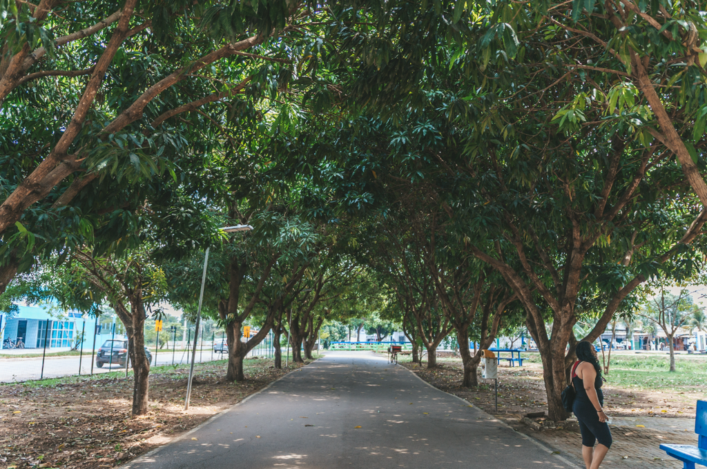 Prefeitura de Porto Velho celebra o Dia da Árvore 2 Prefeitura de Porto Velho celebra o Dia da Árvore