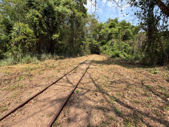 Entre trilhos e memórias, Santo Antônio ganha novo caminho para o turismo de Porto Velho