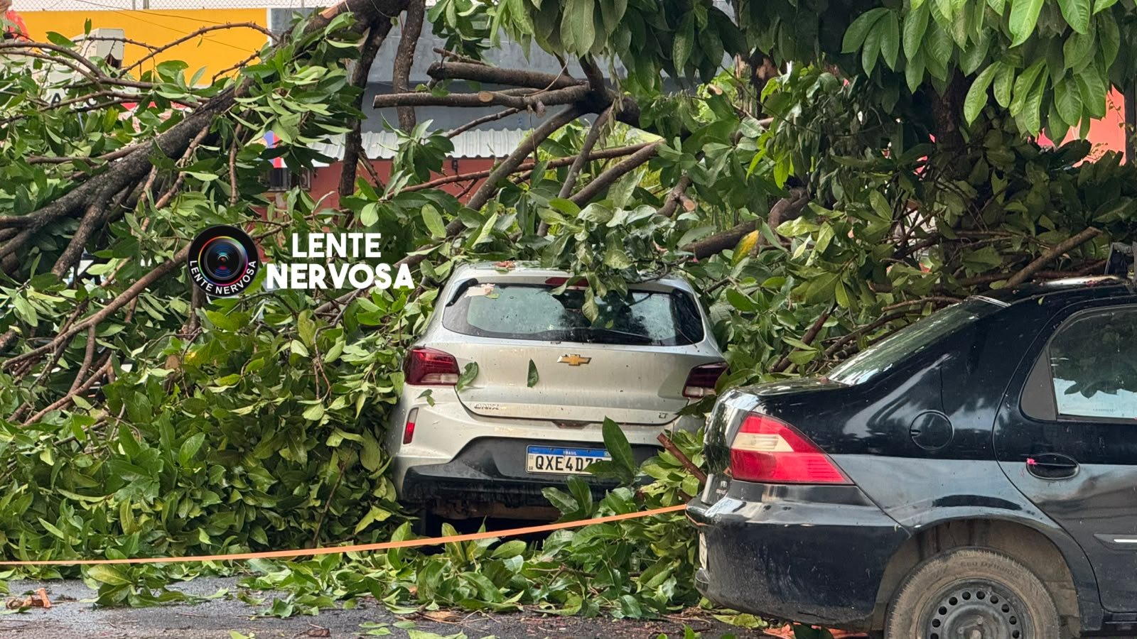 Carro é atingido por árvore durante temporal na zona sul de Porto Velho 1 Carro é atingido por árvore durante temporal na zona sul de Porto Velho