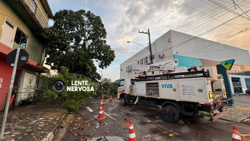 Carro é atingido por árvore durante temporal na zona sul de Porto Velho 2 Carro é atingido por árvore durante temporal na zona sul de Porto Velho