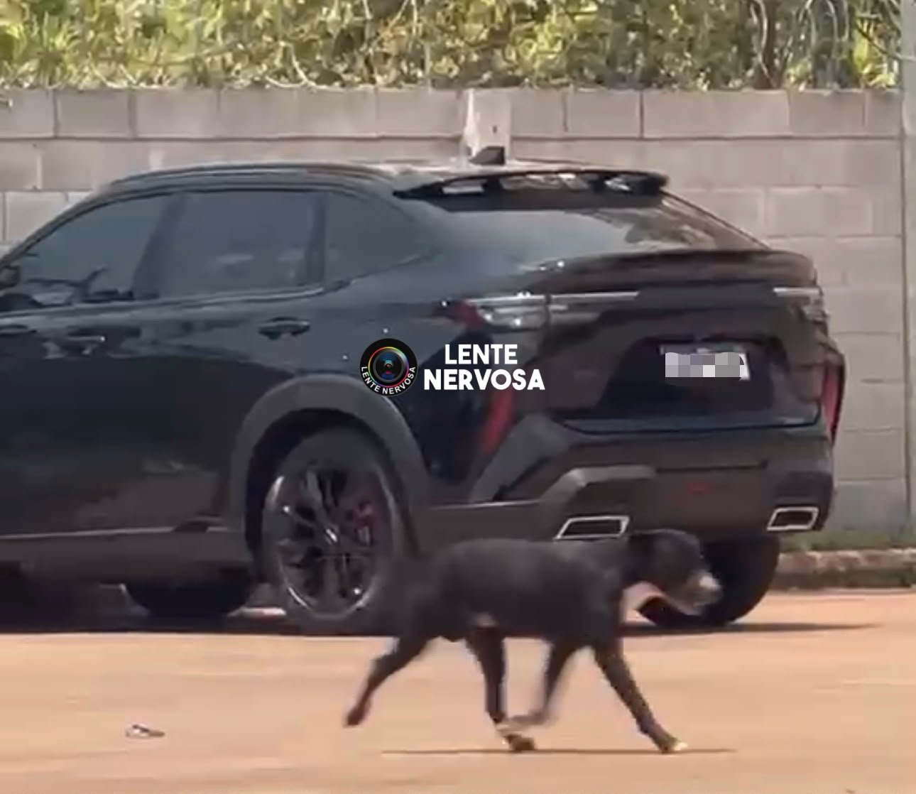 CARDIO DIFERENCIADO - Alunos trocam aparelhos por carro e fazem exercício extra no estacionamento de academia em Porto Velho - VEJA O VÍDEO