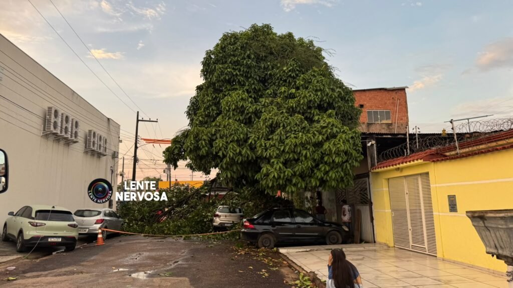 Carro é atingido por árvore durante temporal na zona sul de Porto Velho 3 Carro é atingido por árvore durante temporal na zona sul de Porto Velho