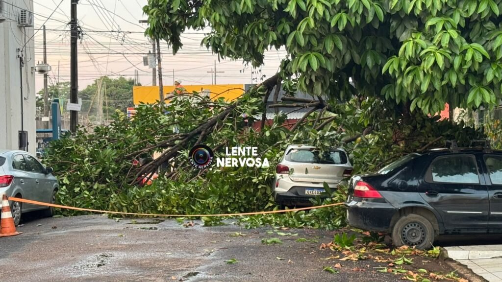 Carro é atingido por árvore durante temporal na zona sul de Porto Velho 4 Carro é atingido por árvore durante temporal na zona sul de Porto Velho