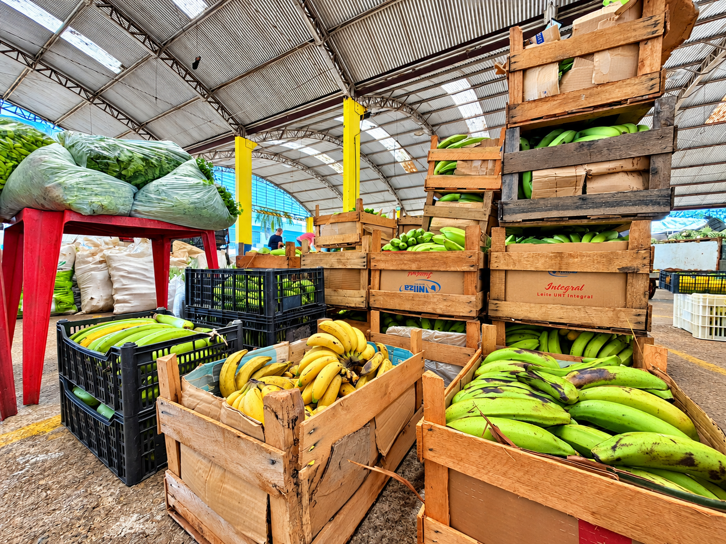 Transporte da Produção aproxima o campo do mercado em Porto Velho 1 Transporte da Produção aproxima o campo do mercado em Porto Velho