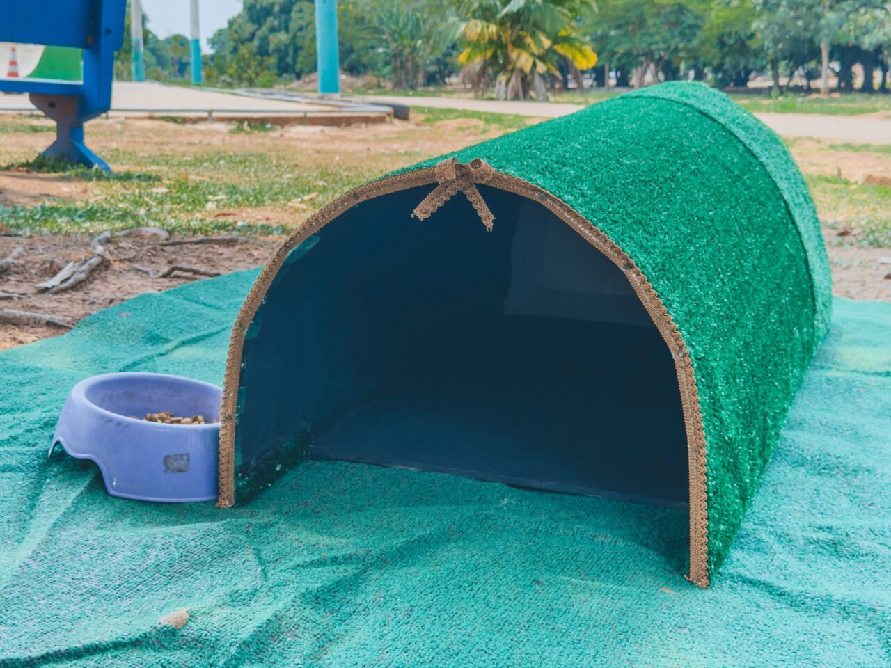 Prefeitura instala abrigos para gatos em espaços públicos 1 Prefeitura instala abrigos para gatos em espaços públicos