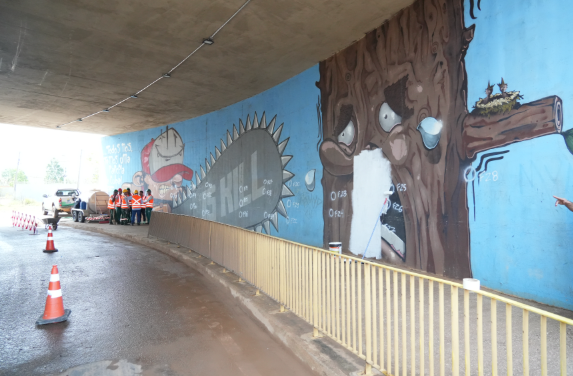 Prefeitura revitaliza viadutos de Porto Velho com cores, arte e paisagismo