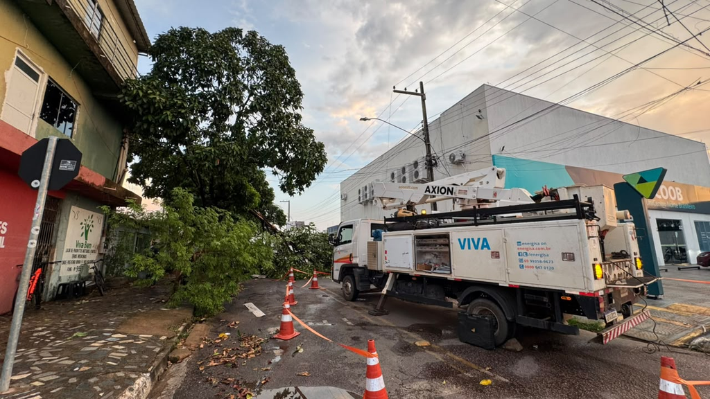 Vereador Edimilson Dourado solicita poda preventiva de árvores na Zona Sul para evitar quedas e desabastecimento de energia