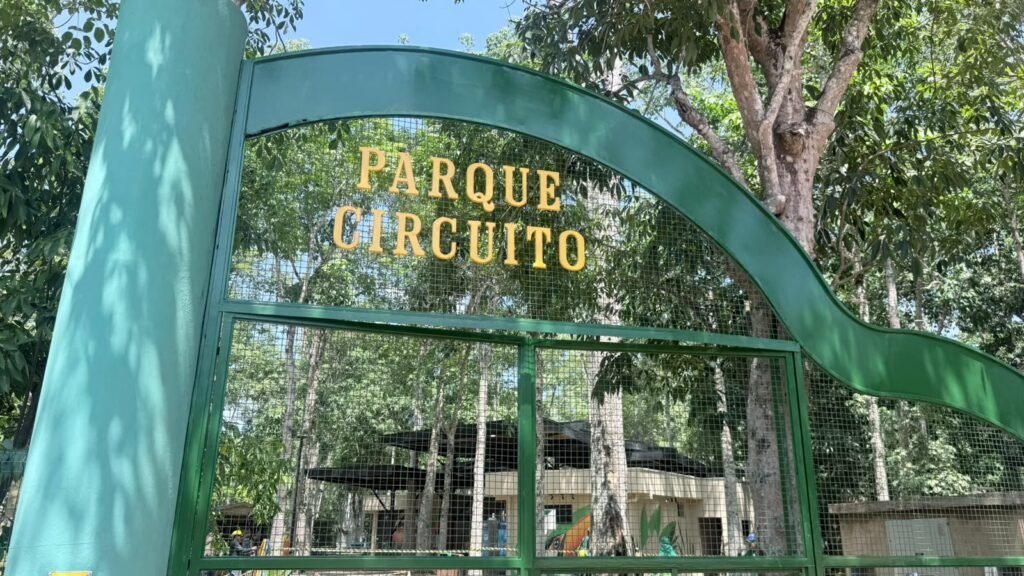 Parque Circuito reabre hoje (24) com atrações renovadas e ações de educação ambiental