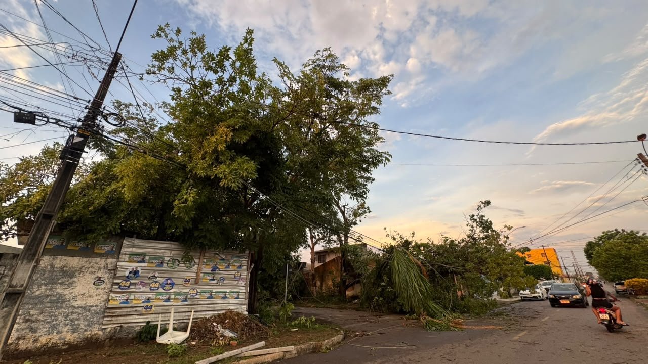 Vereador Edimilson Dourado solicita poda preventiva de árvores na Zona Sul para evitar quedas e desabastecimento de energia 1 Vereador Edimilson Dourado solicita poda preventiva de árvores na Zona Sul para evitar quedas e desabastecimento de energia